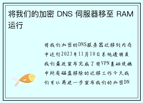 将我们的加密 DNS 伺服器移至 RAM 运行 