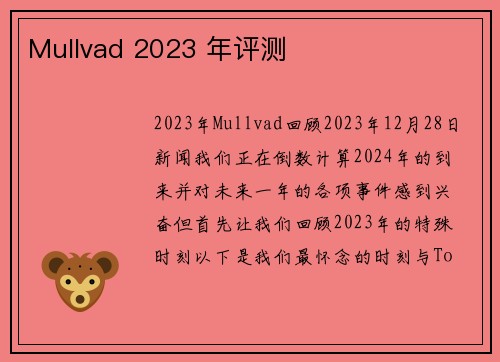 Mullvad 2023 年评测 
